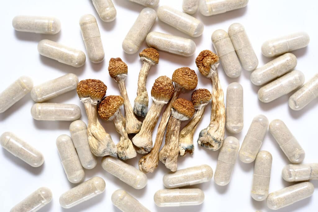 Mushroom spores and spore syringes