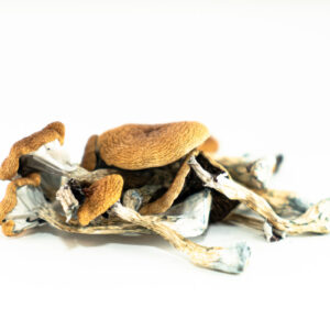Brazilian mushrooms