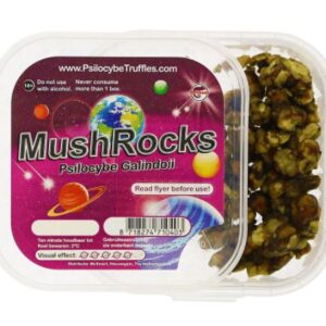 truffle mushrooms