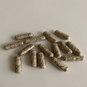 Microdosing Mushroom Capsules