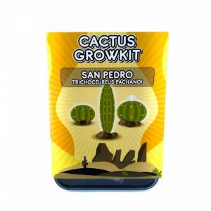 peyote seeds for sale