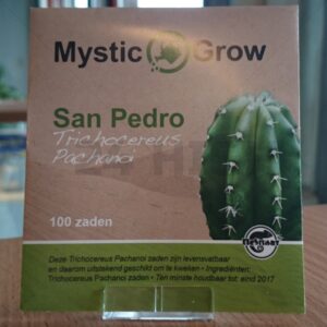 san pedro seeds for sale