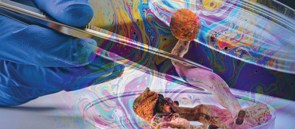 Psychedelic Therapy